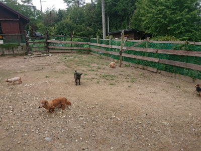 f:id:roukenhome-ann:20190821181139j:plain