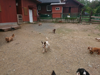 f:id:roukenhome-ann:20190821181206j:plain