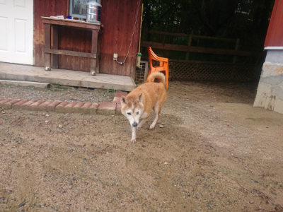 f:id:roukenhome-ann:20190821181223j:plain
