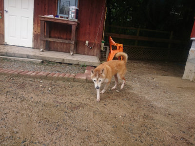 f:id:roukenhome-ann:20190821181325j:plain