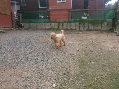 f:id:roukenhome-ann:20190821182623j:plain