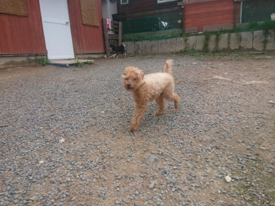 f:id:roukenhome-ann:20190821182645j:plain