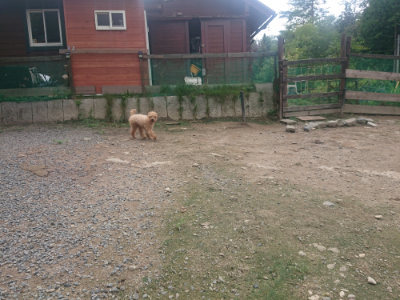 f:id:roukenhome-ann:20190821182705j:plain