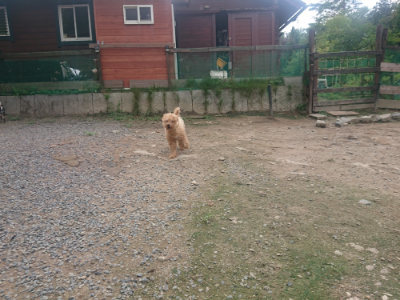 f:id:roukenhome-ann:20190821182721j:plain
