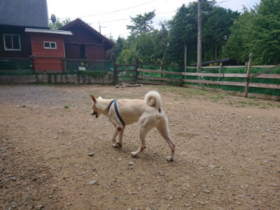 f:id:roukenhome-ann:20190821182831j:plain