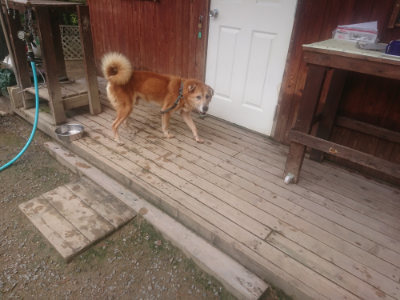 f:id:roukenhome-ann:20190821182918j:plain
