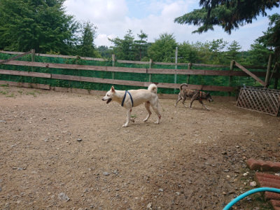 f:id:roukenhome-ann:20190821182924j:plain