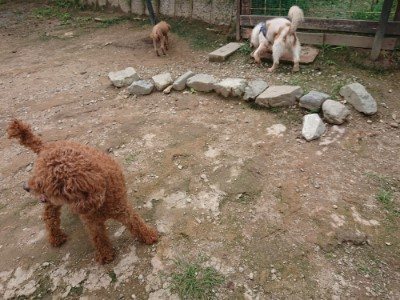f:id:roukenhome-ann:20190821182945j:plain