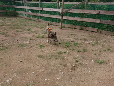f:id:roukenhome-ann:20190821183230j:plain