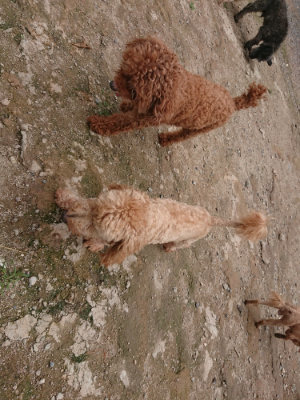 f:id:roukenhome-ann:20190821183300j:plain