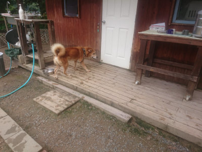 f:id:roukenhome-ann:20190821183313j:plain