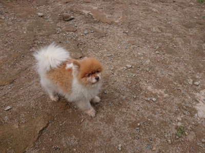 f:id:roukenhome-ann:20190821183324j:plain