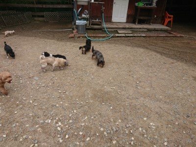 f:id:roukenhome-ann:20190821183931j:plain
