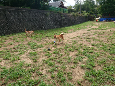 f:id:roukenhome-ann:20190821184003j:plain