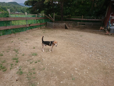 f:id:roukenhome-ann:20190821184015j:plain