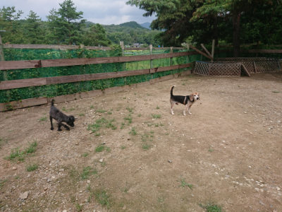 f:id:roukenhome-ann:20190821184048j:plain