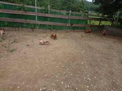 f:id:roukenhome-ann:20190821184218j:plain
