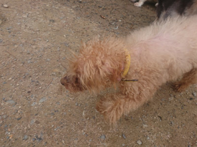 f:id:roukenhome-ann:20190821185052j:plain