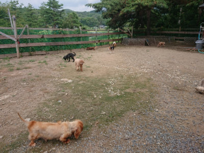 f:id:roukenhome-ann:20190821185104j:plain