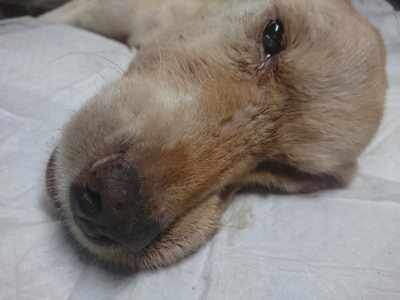 f:id:roukenhome-ann:20190821185149j:plain