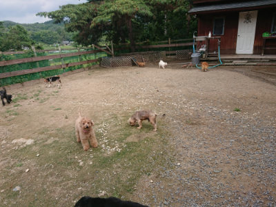 f:id:roukenhome-ann:20190821185155j:plain