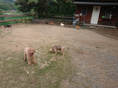 f:id:roukenhome-ann:20190821185219j:plain