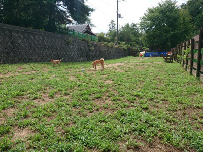f:id:roukenhome-ann:20190821185231j:plain