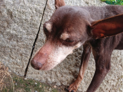 f:id:roukenhome-ann:20190821185254j:plain