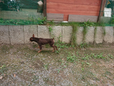 f:id:roukenhome-ann:20190821185405j:plain