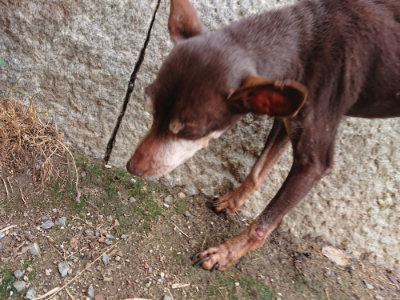 f:id:roukenhome-ann:20190821185435j:plain