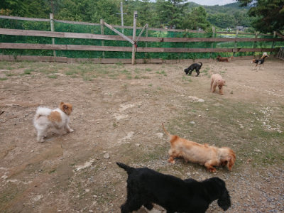 f:id:roukenhome-ann:20190821185456j:plain