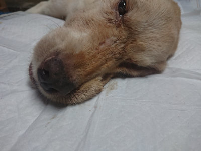 f:id:roukenhome-ann:20190821185511j:plain
