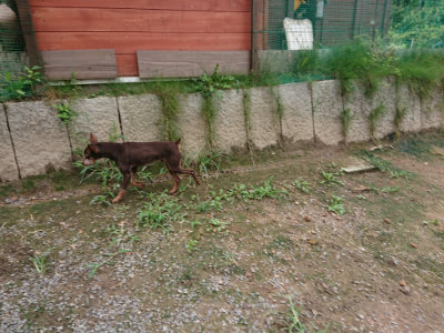 f:id:roukenhome-ann:20190821185533j:plain
