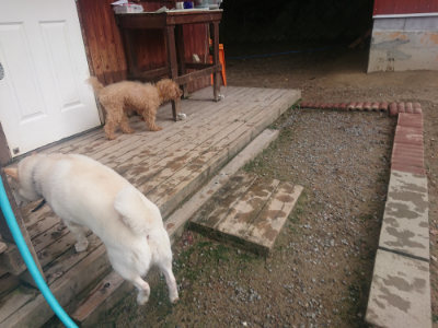 f:id:roukenhome-ann:20190821185554j:plain
