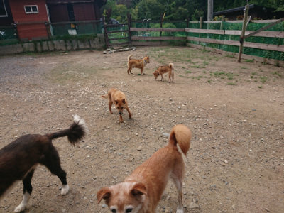 f:id:roukenhome-ann:20190821185620j:plain