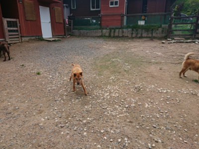 f:id:roukenhome-ann:20190821185707j:plain