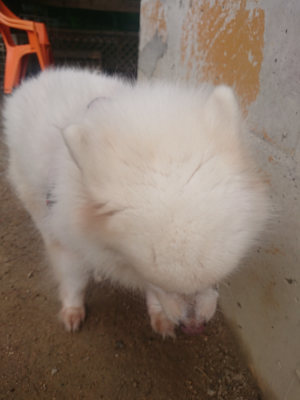 f:id:roukenhome-ann:20190821185840j:plain