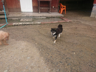 f:id:roukenhome-ann:20190821185900j:plain