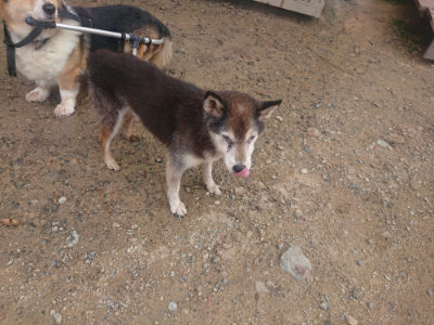 f:id:roukenhome-ann:20190821185918j:plain