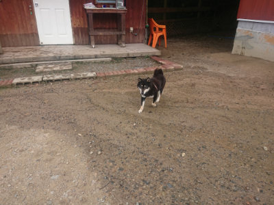 f:id:roukenhome-ann:20190821185944j:plain