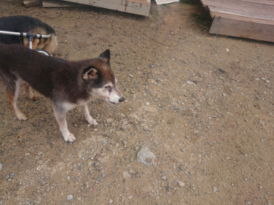 f:id:roukenhome-ann:20190821185956j:plain