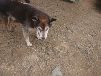 f:id:roukenhome-ann:20190821190021j:plain