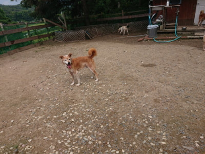f:id:roukenhome-ann:20190821190033j:plain