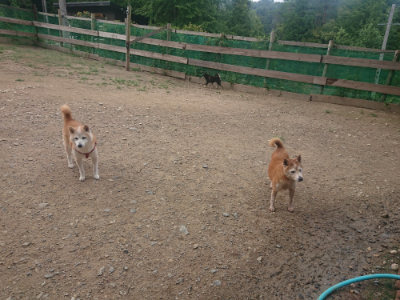 f:id:roukenhome-ann:20190821190114j:plain