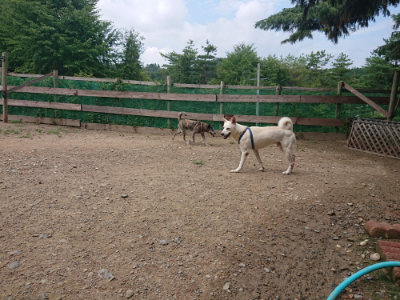 f:id:roukenhome-ann:20190821190159j:plain