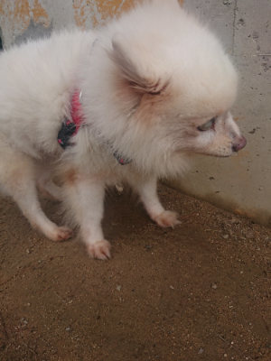 f:id:roukenhome-ann:20190821190240j:plain