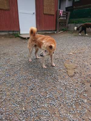 f:id:roukenhome-ann:20190821190246j:plain