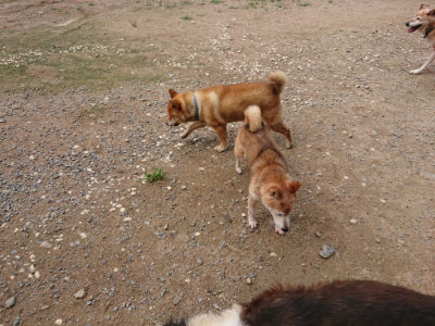 f:id:roukenhome-ann:20190821192746j:plain