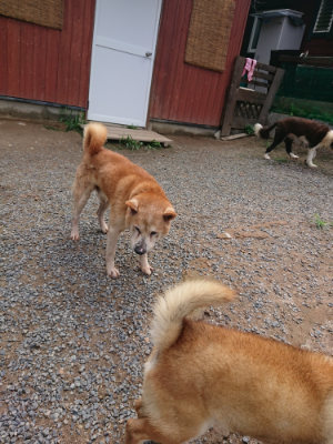 f:id:roukenhome-ann:20190821192817j:plain