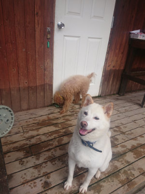 f:id:roukenhome-ann:20190821192849j:plain